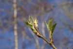 LX:PICT0925