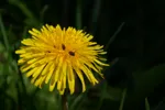 LX:PICT4528