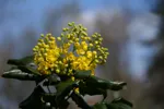 LX:PICT5643