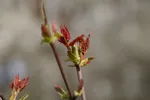 LX:PICT5648