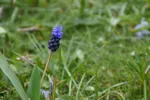 LX:PICT5659