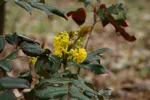 LX:PICT5670