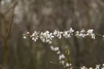 LX:PICT5688