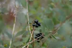 LX:PICT5691