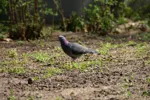 LX:PICT5728