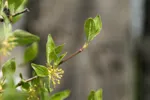 LX:PICT5730