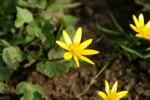LX:PICT5748