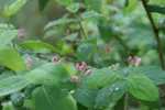 LX:PICT5764