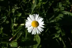 LX:PICT5834