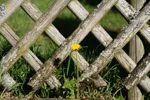 LX:PICT5849