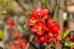 LX:PICT5882