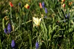 LX:PICT5884