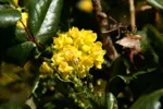 LX:PICT5894