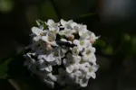 LX:PICT5907