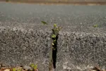 LX:PICT5921