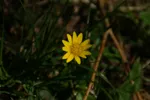 LX:PICT5928