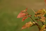 LX:PICT5969