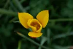 LX:PICT6009