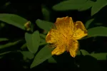 LX:PICT6062