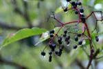 LX:PICT6301