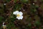 LX:PICT6306