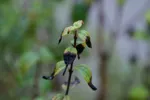 LX:PICT6307