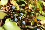 LX:PICT6413