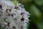 LX:PICT6453