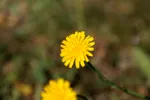 LX:PICT6792