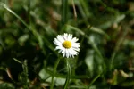 LX:PICT6797