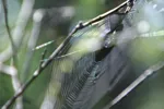 LX:PICT6838