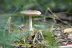 LX:PICT6841