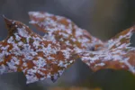 LX:PICT6976