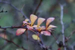 LX:PICT7041