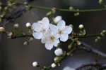 LX:PICT7282