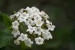 LX:DSC00005