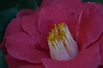 LX:DSC00059