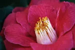 LX:DSC00059_E