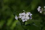 LX:DSC00067