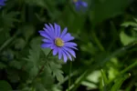 LX:DSC00087