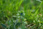 LX:DSC00113