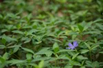 LX:DSC00215