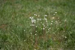 LX:DSC00414