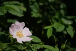 LX:DSC00512