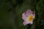 LX:DSC00520